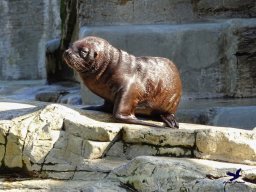 Tiergarten Schönbrunn am 03.10.2025